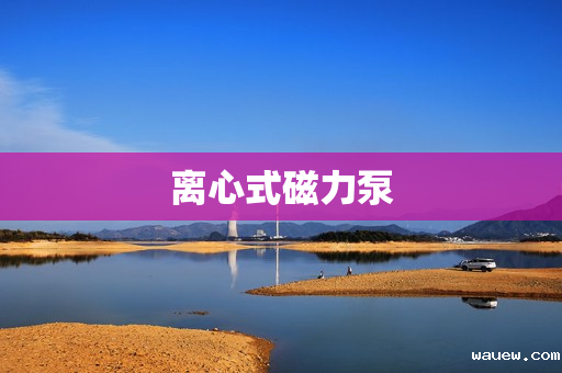 离心式磁力泵 离心式磁力泵