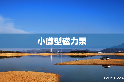 小微型磁力泵 小微型磁力泵