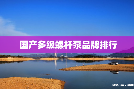 国产多级螺杆泵品牌排行 国产多级螺杆泵品牌排行