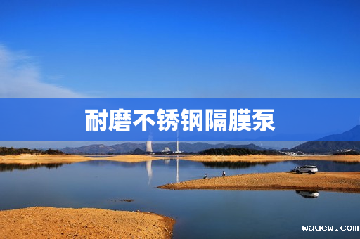 耐磨不锈钢隔膜泵 耐磨不锈钢隔膜泵