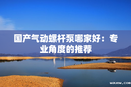 国产气动螺杆泵哪家好:专业角度的推荐 国产气动螺杆泵哪家好:专业角度的推荐