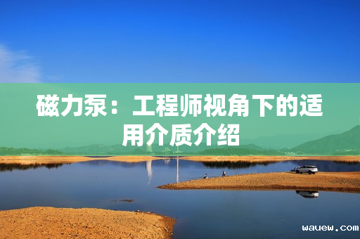 磁力泵:工程师视角下的适用介质介绍 磁力泵:工程师视角下的适用介质介绍