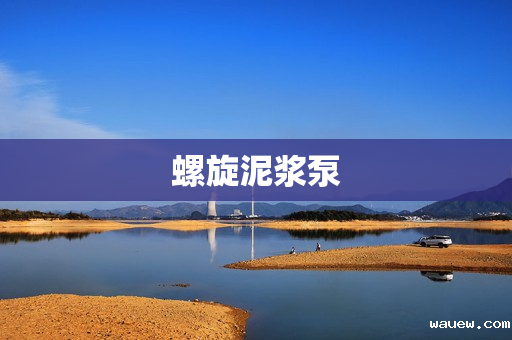 螺旋泥浆泵 螺旋泥浆泵