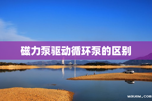 磁力泵驱动循环泵的区别 磁力泵驱动循环泵的区别