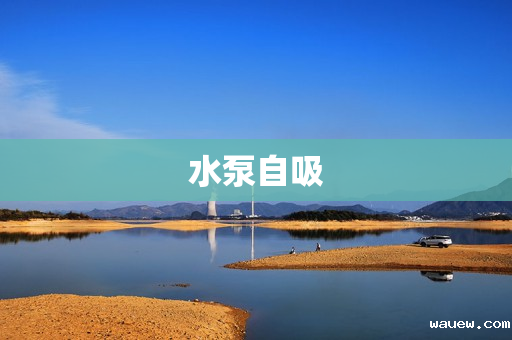 水泵自吸 水泵自吸