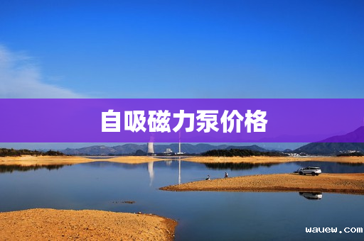 自吸磁力泵价格 自吸磁力泵价格