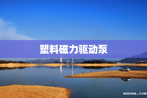 塑料磁力驱动泵 塑料磁力驱动泵