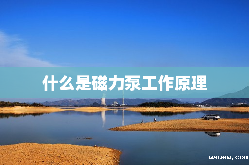 什么是磁力泵工作原理 什么是磁力泵工作原理