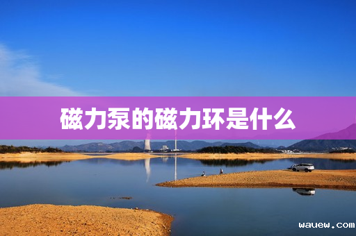 磁力泵的磁力环是什么 磁力泵的磁力环是什么