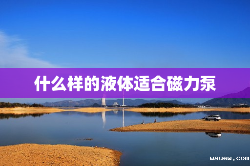 什么样的液体适合磁力泵 什么样的液体适合磁力泵