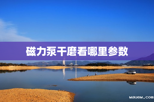 磁力泵干磨看哪里参数 磁力泵干磨看哪里参数