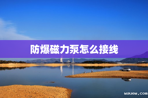 防爆磁力泵怎么接线 防爆磁力泵怎么接线