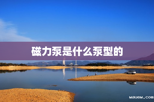 磁力泵是什么泵型的 磁力泵是什么泵型的