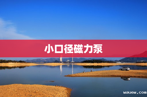 小口径磁力泵 小口径磁力泵