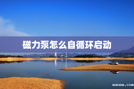 磁力泵怎么自循环启动 磁力泵怎么自循环启动