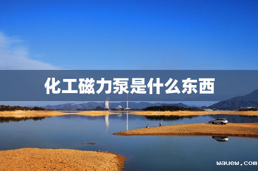 化工磁力泵是什么东西 化工磁力泵是什么东西