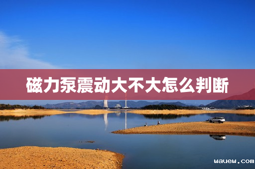磁力泵震动大不大怎么判断 磁力泵震动大不大怎么判断