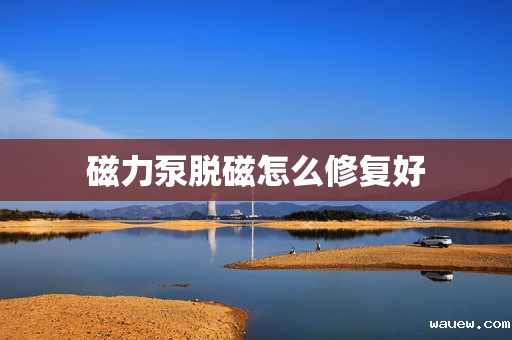 磁力泵脱磁怎么修复好 磁力泵脱磁怎么修复好