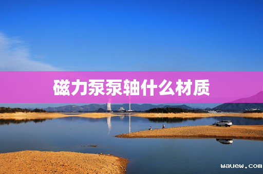 磁力泵泵轴什么材质 磁力泵泵轴什么材质