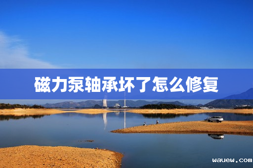 磁力泵轴承坏了怎么修复 磁力泵轴承坏了怎么修复