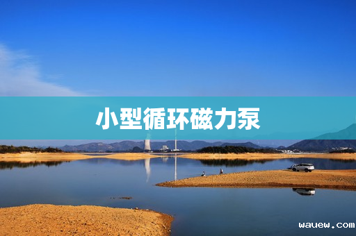 小型循环磁力泵 小型循环磁力泵