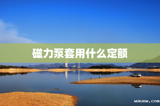 磁力泵套用什么定额 磁力泵套用什么定额