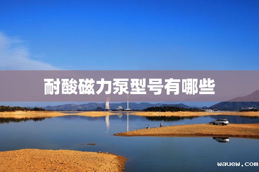 耐酸磁力泵型号有哪些 耐酸磁力泵型号有哪些