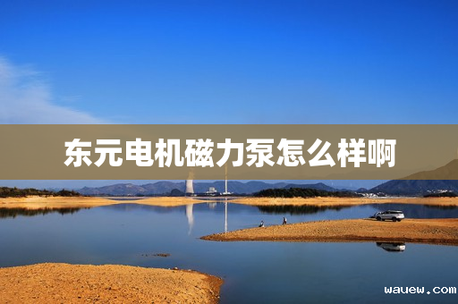 东元电机磁力泵怎么样啊 东元电机磁力泵怎么样啊