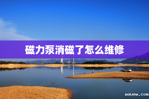 磁力泵消磁了怎么维修 磁力泵消磁了怎么维修