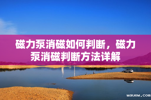 磁力泵消磁如何判断,磁力泵消磁判断方法详解 磁力泵消磁如何判断,磁力泵消磁判断方法详解