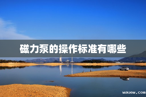 磁力泵的操作标准有哪些 磁力泵的操作标准有哪些