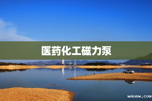 医药化工磁力泵 医药化工磁力泵