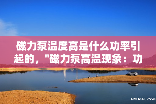 磁力泵温度高是什么功率引起的, 磁力泵温度高是什么功率引起的,