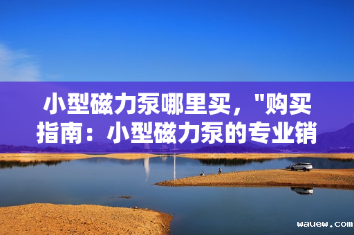 小型磁力泵哪里买, 小型磁力泵哪里买,