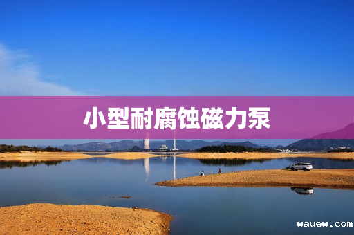 小型耐腐蚀磁力泵 小型耐腐蚀磁力泵