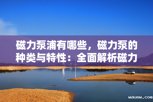 磁力泵浦有哪些,磁力泵的种类与特性:全面解析磁力驱动泵浦技术 磁力泵浦有哪些,磁力泵的种类与特性:全面解析磁力驱动泵浦技术