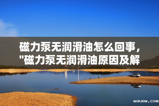 磁力泵无润滑油怎么回事, 磁力泵无润滑油怎么回事,