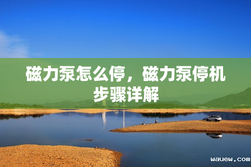 磁力泵怎么停,磁力泵停机步骤详解 磁力泵怎么停,磁力泵停机步骤详解