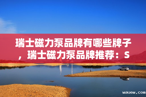 瑞士磁力泵品牌有哪些牌子,瑞士磁力泵品牌推荐:Sulzer。,Sulzer是瑞士的一家成立于1834年的知名磁力泵品牌,也是全球领先的工程设备制造商之一。该品牌的磁力泵具有高效、稳定、安全的特点,广泛应用于化工、石油、制药等行业。,以上内容仅供参考,建议咨询磁力泵相关技术人员获取更多信息。 瑞士磁力泵品牌有哪些牌子,瑞士磁力泵品牌推荐:Sulzer。,Sulzer是瑞士的一家成立于1834年的知名磁力泵品牌,也是全球领先的工程设备制造商之一。该品牌的磁力泵具有高效、稳定、安全的特点,广泛应用于化工、石油、制药等行业。,以上内容仅供参考,建议咨询磁力泵相关技术人员获取更多信息。