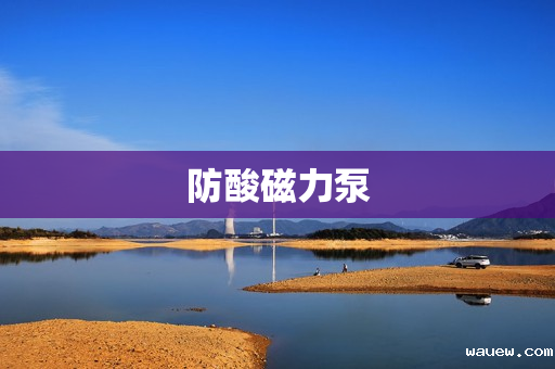 防酸磁力泵 防酸磁力泵