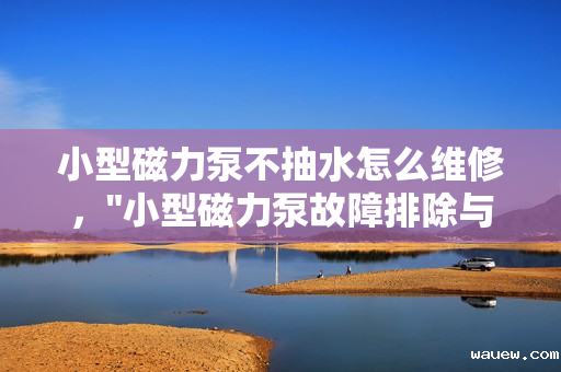 小型磁力泵不抽水怎么维修, 小型磁力泵不抽水怎么维修,