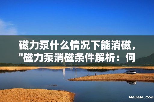 磁力泵什么情况下能消磁, 磁力泵什么情况下能消磁,