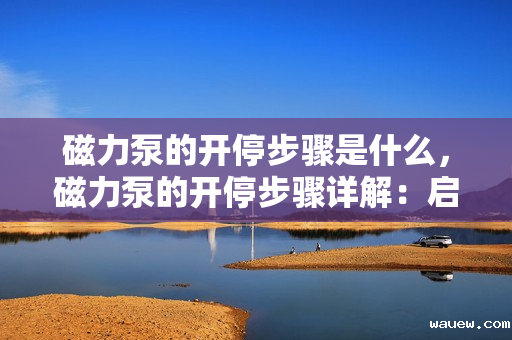 磁力泵的开停步骤是什么,磁力泵的开停步骤详解:启动与关闭操作指南 磁力泵的开停步骤是什么,磁力泵的开停步骤详解:启动与关闭操作指南