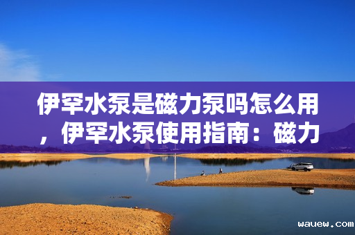 伊罕水泵是磁力泵吗怎么用,伊罕水泵使用指南:磁力驱动原理及操作解析 伊罕水泵是磁力泵吗怎么用,伊罕水泵使用指南:磁力驱动原理及操作解析