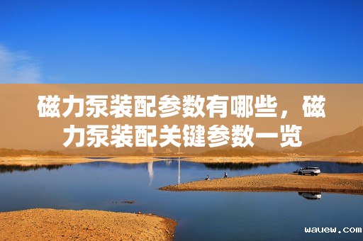 磁力泵装配参数有哪些,磁力泵装配关键参数一览 磁力泵装配参数有哪些,磁力泵装配关键参数一览