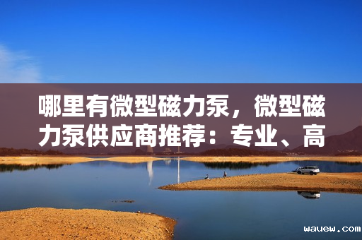 哪里有微型磁力泵,微型磁力泵供应商推荐:专业、高效、可靠的微型磁力泵解决方案 哪里有微型磁力泵,微型磁力泵供应商推荐:专业、高效、可靠的微型磁力泵解决方案