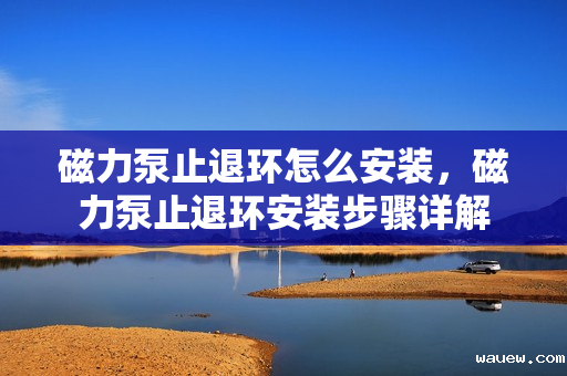 磁力泵止退环怎么安装,磁力泵止退环安装步骤详解 磁力泵止退环怎么安装,磁力泵止退环安装步骤详解