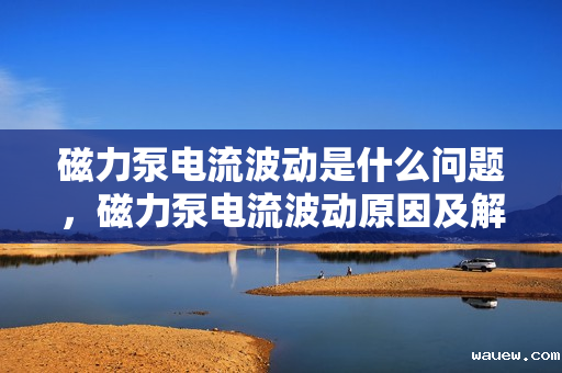 磁力泵电流波动是什么问题,磁力泵电流波动原因及解决方案探究 磁力泵电流波动是什么问题,磁力泵电流波动原因及解决方案探究