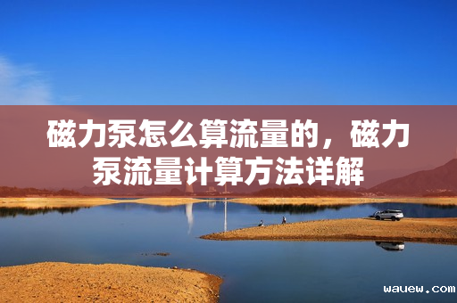 磁力泵怎么算流量的,磁力泵流量计算方法详解 磁力泵怎么算流量的,磁力泵流量计算方法详解