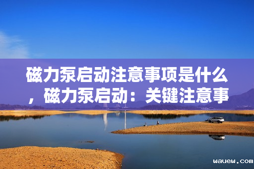 磁力泵启动注意事项是什么,磁力泵启动:关键注意事项一览 磁力泵启动注意事项是什么,磁力泵启动:关键注意事项一览